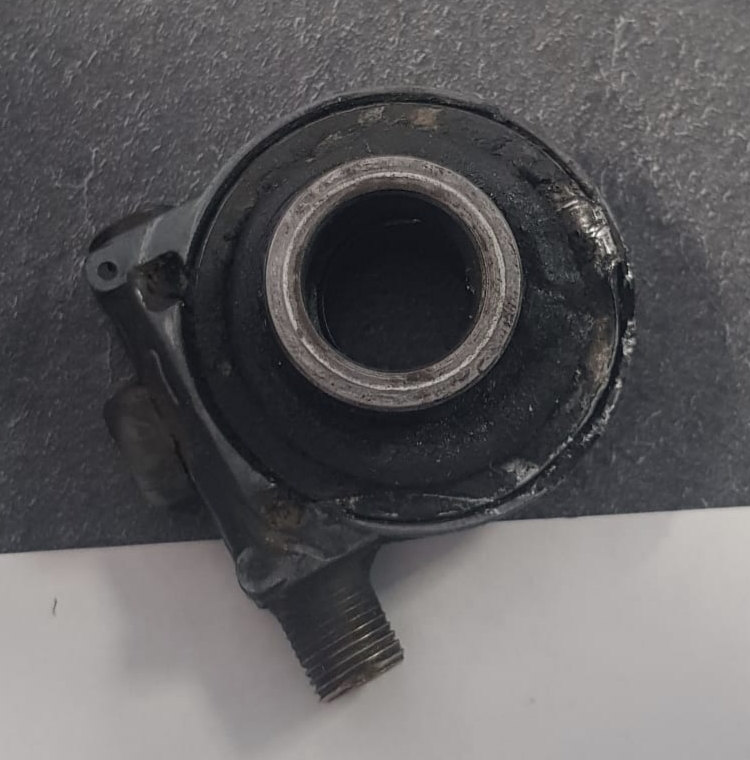 IMG_20260510_112415.jpg